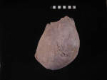 L_V19d5015 J3.8 Q824 dM pa skull top view
